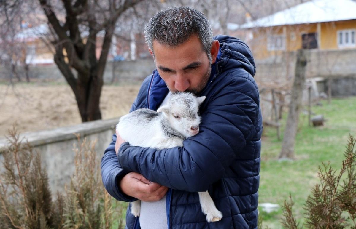 O oğlak b&uuml;y&uuml;d&uuml;