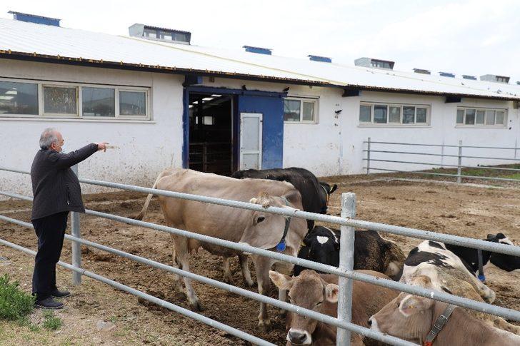 Atatürk Üniversitesinden gıda ve hayvancılığa bilimsel yaklaşım G3