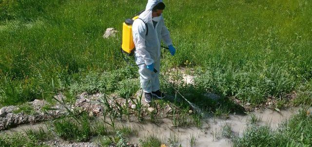 Hakkari’de larva ilaçlama çalışmaları sürüyor