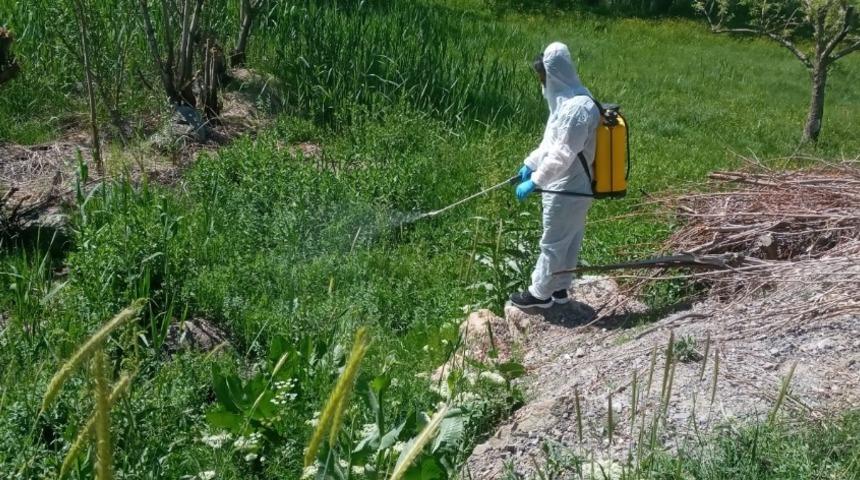 Hakkari&rsquo;de larva ila&ccedil;lama &ccedil;alışmaları s&uuml;r&uuml;yor