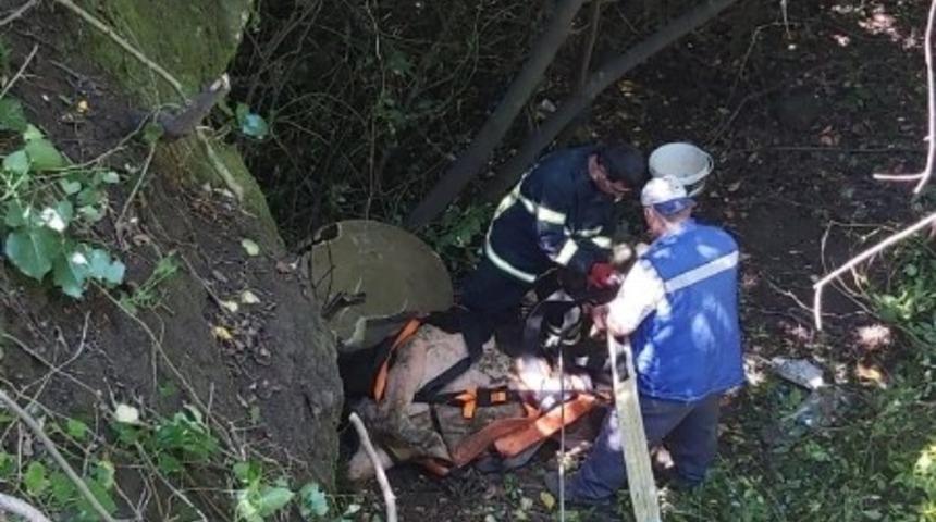 25 metrelik &ccedil;ukura d&uuml;şen inek kurtarıldı