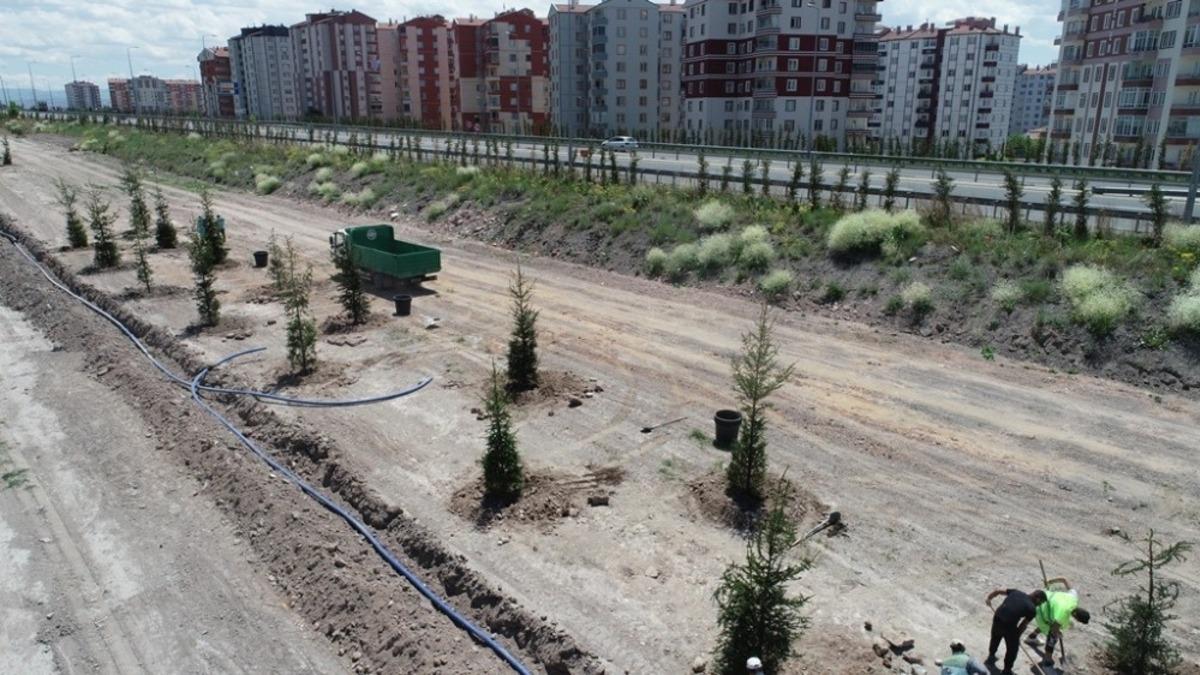 Daha yeşil Kocasinan i&ccedil;in 15-20 yaş arası ağa&ccedil;lar toprakla buluştu