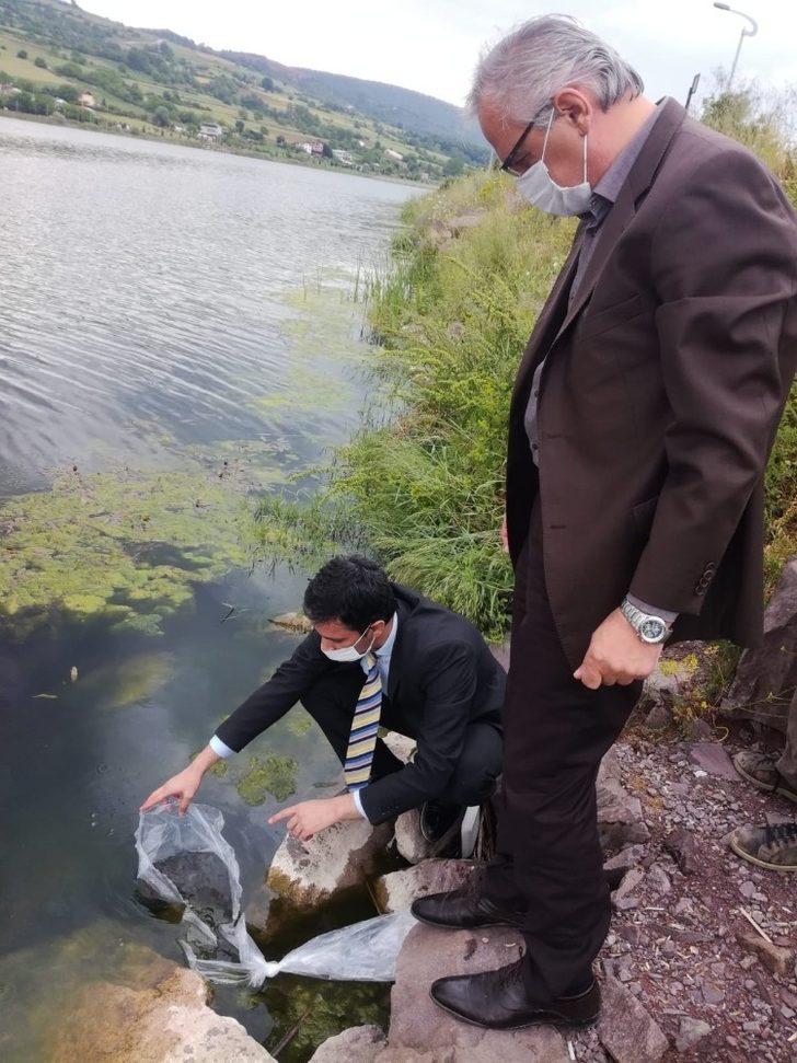 Kocaeli göletlerine 45 bin sazan yavrusu bırakıldı G1