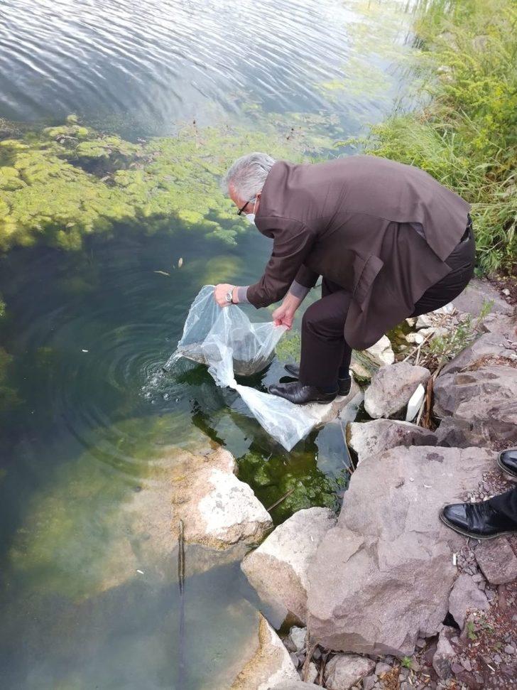 Kocaeli göletlerine 45 bin sazan yavrusu bırakıldı G2