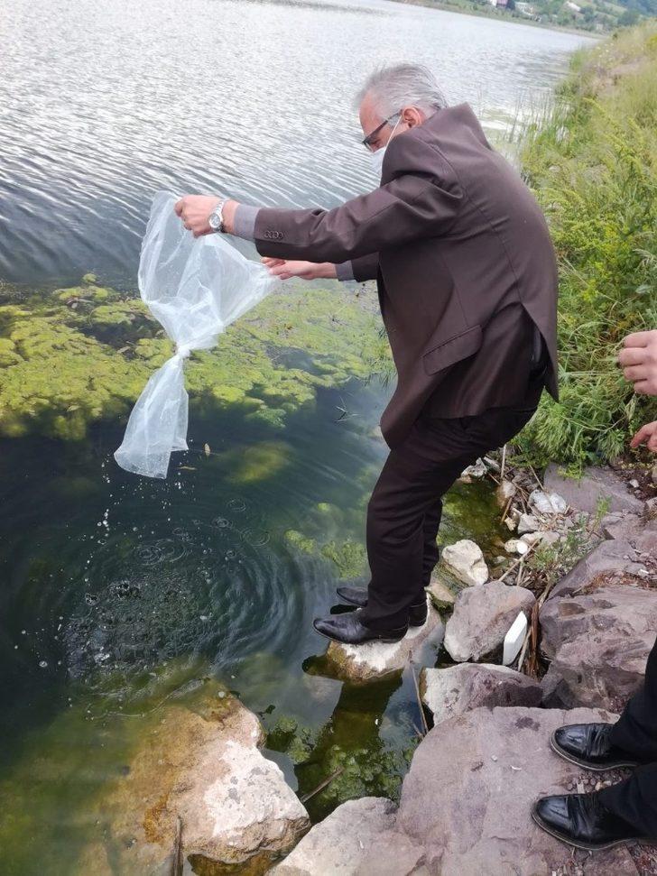 Kocaeli göletlerine 45 bin sazan yavrusu bırakıldı G3