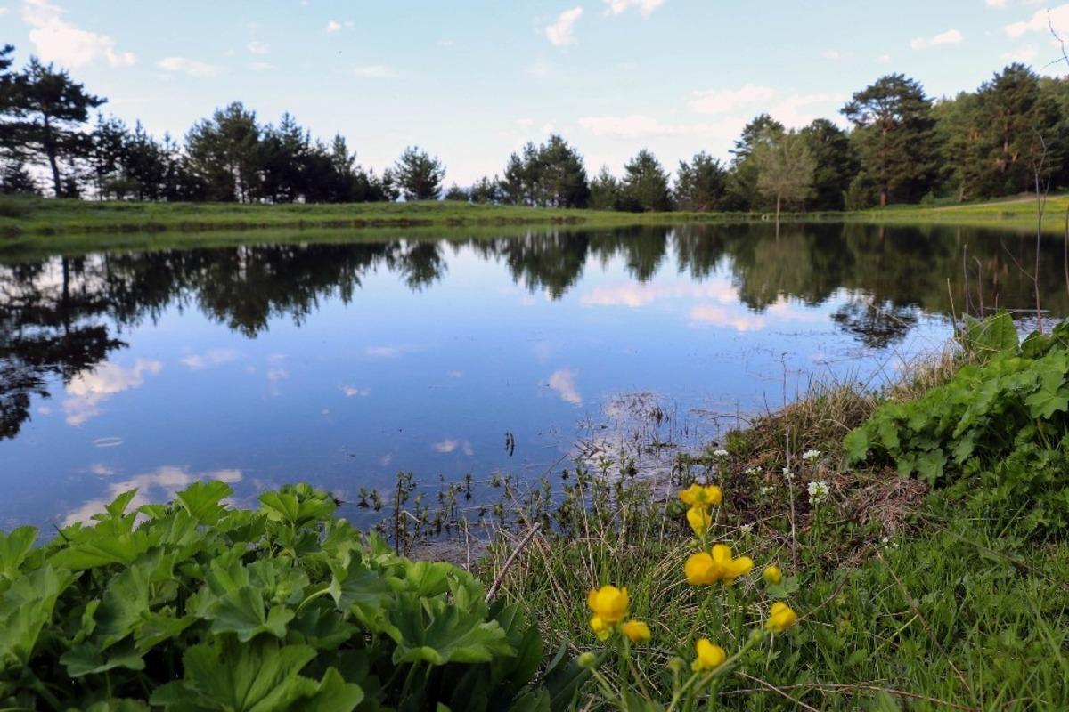 Bir zamanlar atların serinlemesi i&ccedil;in kullanıyorlardı! Altınpınar G&ouml;l&uuml; turizmin ilgi odağı olacak