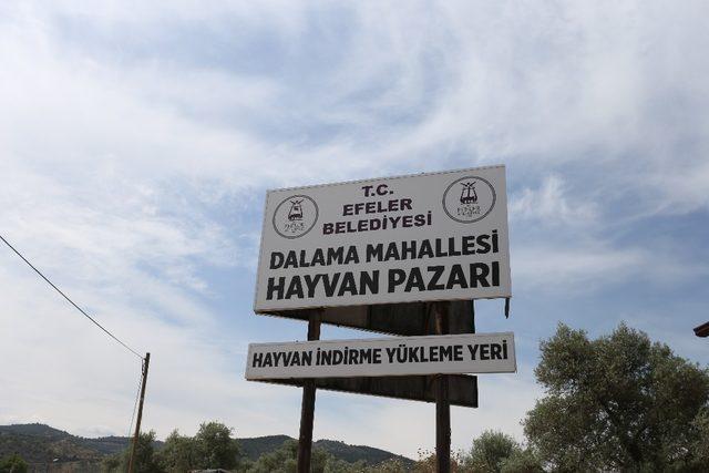 Bölgenin en eski hayvan pazarı hizmete açıldı