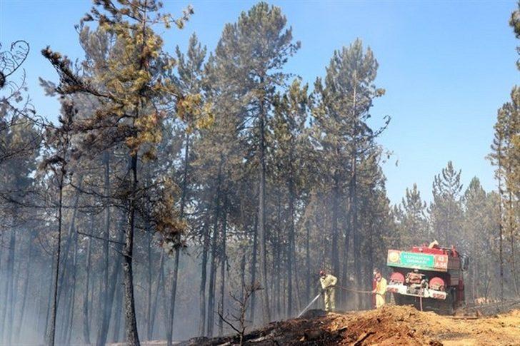 Bölge Müdürü Keskin, orman yangınları konusunda vatandaşları uyardı G3