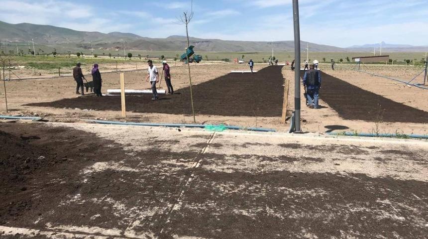 Üniversite kampüsüne rulo çimler ekildi