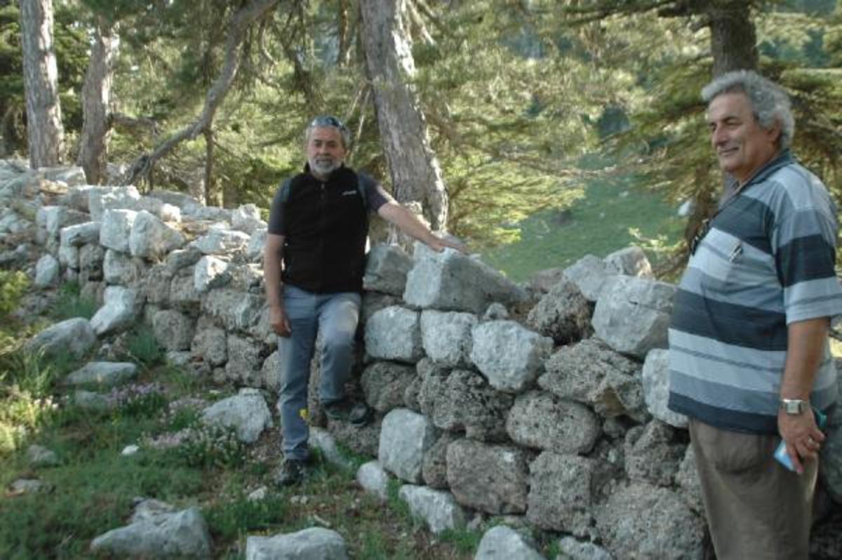 Mantar ararken buldu! Tam 2 bin 800 yıllık