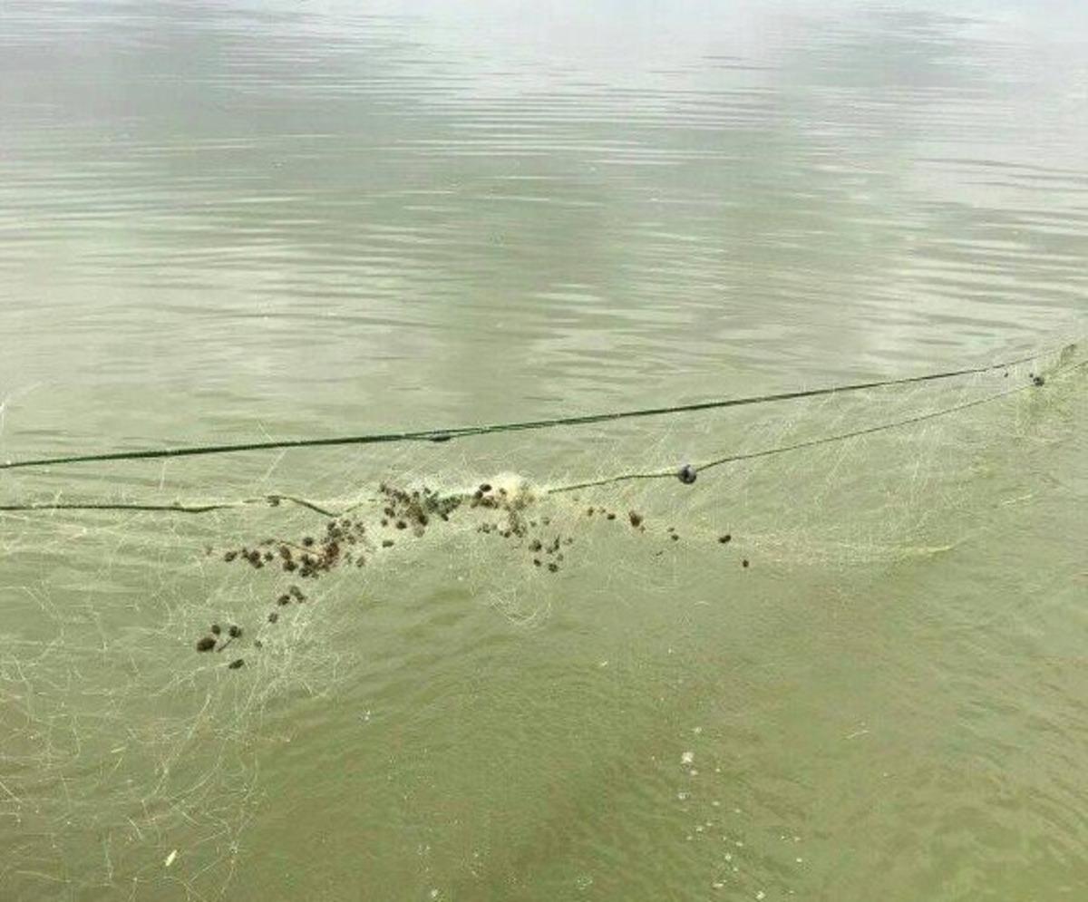 Elazığ&rsquo;da ka&ccedil;ak balık avı ile m&uuml;cadele