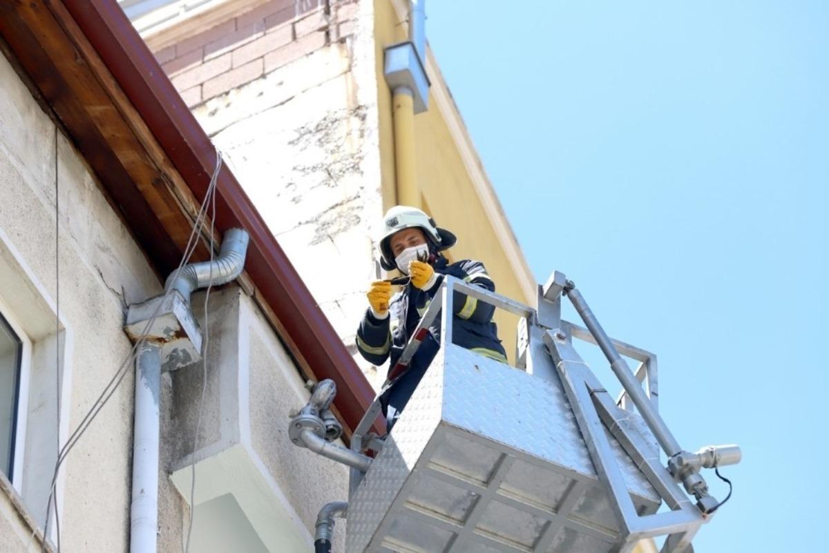 &Ccedil;atıda sıkışan ebabil kuşunu itfaiye kurtardı
