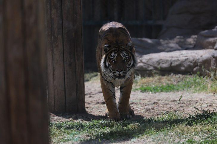 Büyükşehir kapılarını yeniden vatandaşlara açıyor G4