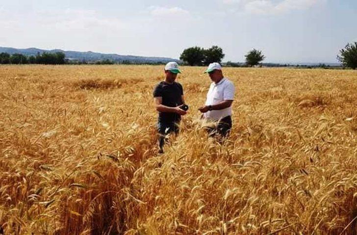 Çerçi:  "Ürünlerimizi tam döneminde hasat edelim" G1