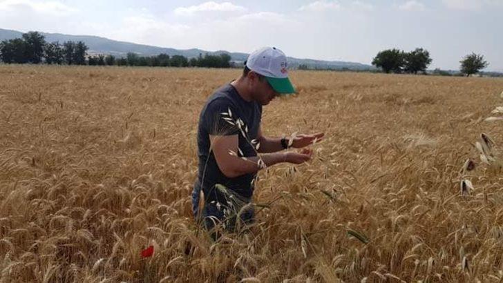 Çerçi:  "Ürünlerimizi tam döneminde hasat edelim" G3