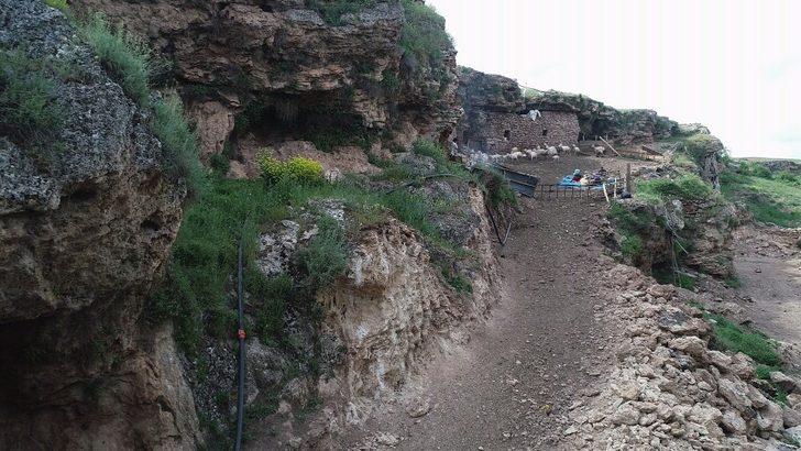 Mağarada yetiştiriyor! Sebebini öğrenince çok şaşıracaksınız G3