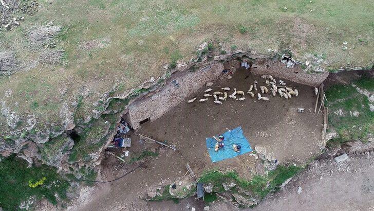 Mağarada yetiştiriyor! Sebebini öğrenince çok şaşıracaksınız G5