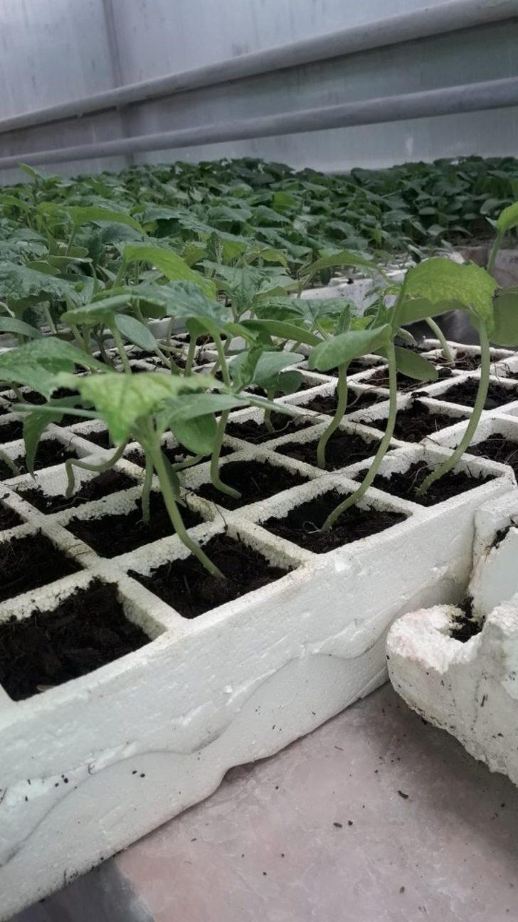 Çaldıran Belediyesi imkansızı başarıyor G2