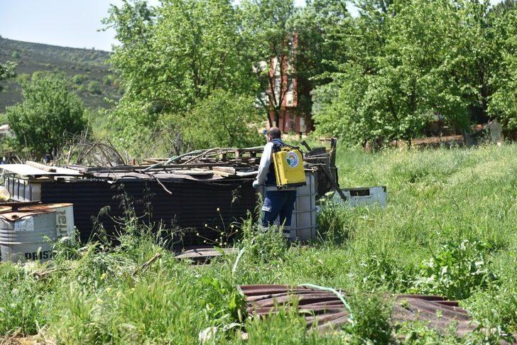 Tuzla’da zararlı haşerelere karşı ilaçlama devam ediyor G2