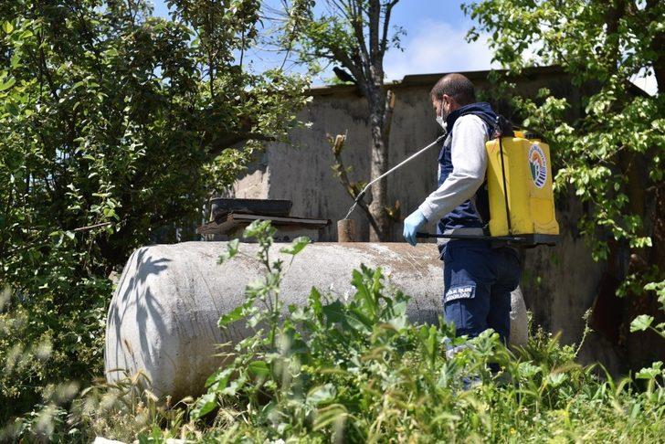 Tuzla’da zararlı haşerelere karşı ilaçlama devam ediyor G4