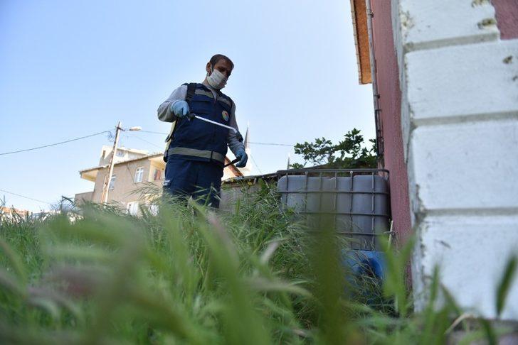 Tuzla’da zararlı haşerelere karşı ilaçlama devam ediyor G5