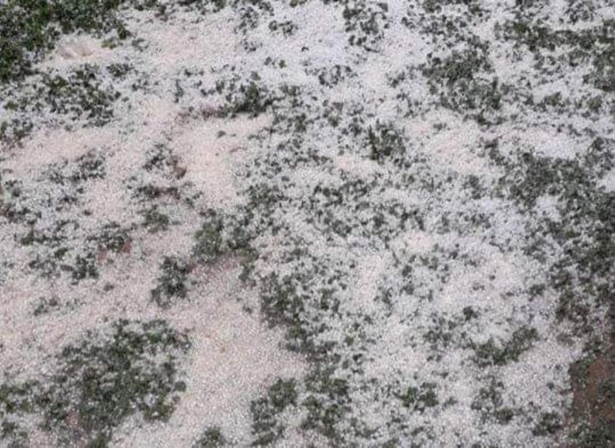 Tarım alanlarında dolu zararı