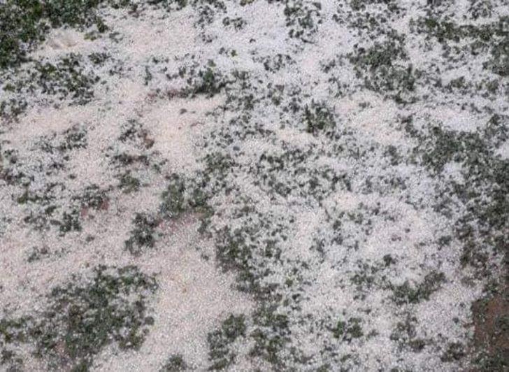 Tarım alanlarında dolu zararı G1