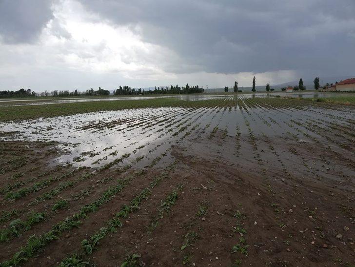 Tarım alanlarında dolu zararı G2