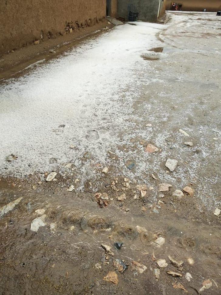 Tarım alanlarında dolu zararı G4