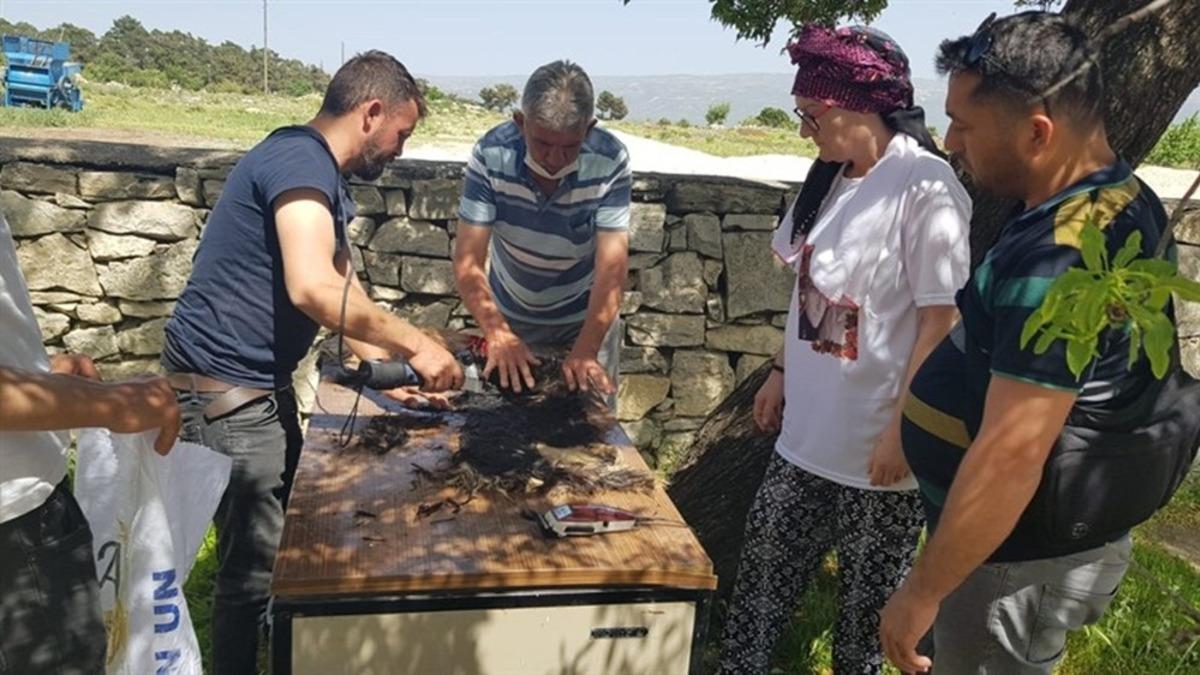 Eski sağlık ocağı obruk peyniri &uuml;retim tesisine d&ouml;n&uuml;şt&uuml;r&uuml;ld&uuml;