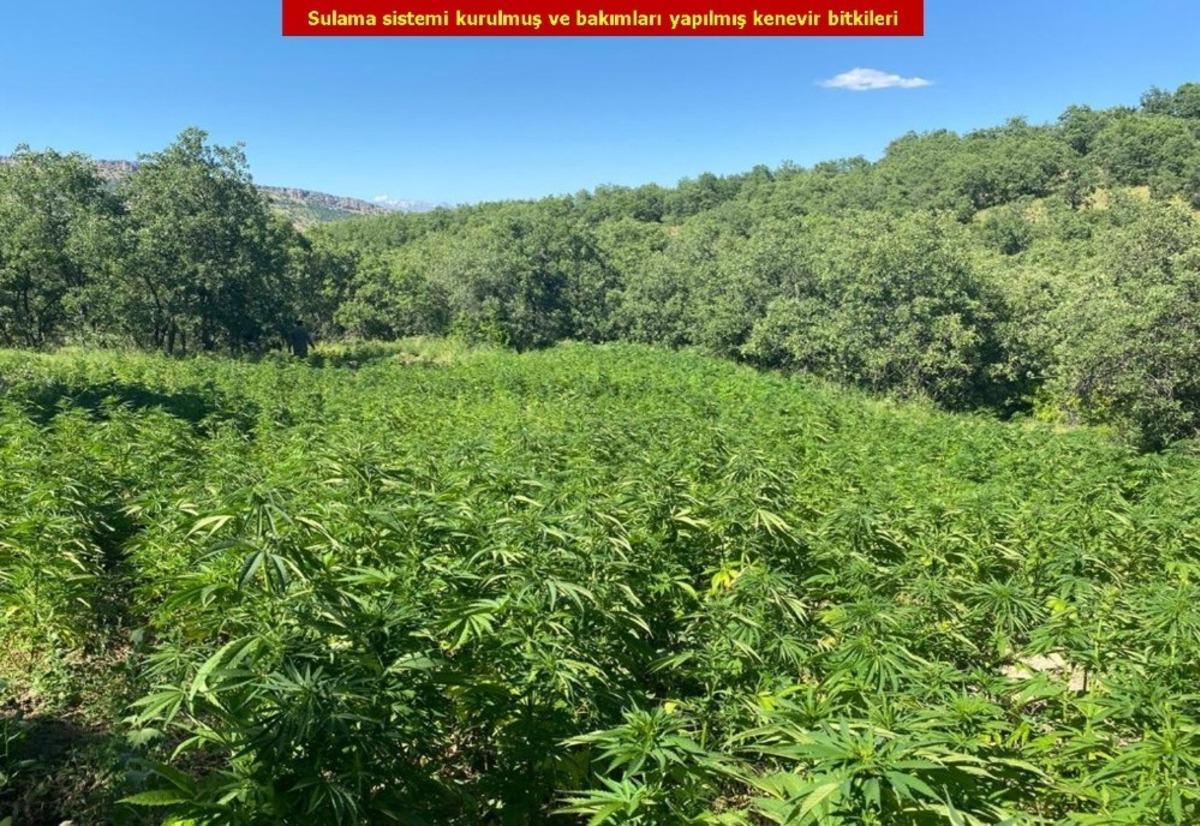 Diyarbakır&rsquo;da b&uuml;y&uuml;k operasyon! '&Ccedil;akmak gazı' detayı dikkat &ccedil;ekti