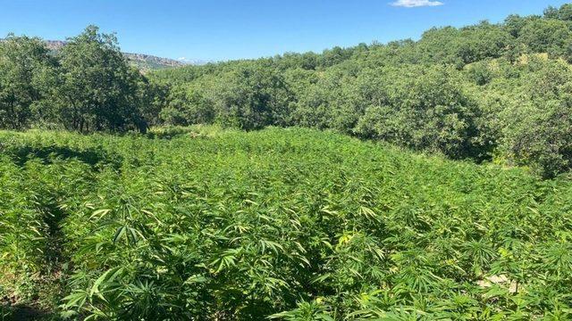 Diyarbakır’da büyük operasyon! 'Çakmak gazı' detayı dikkat çekti