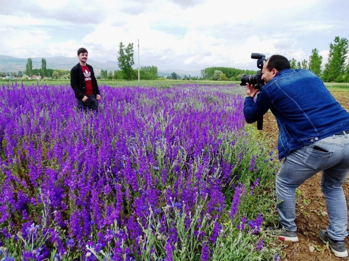 Mor &ccedil;i&ccedil;ek tarlası ilgi odağı