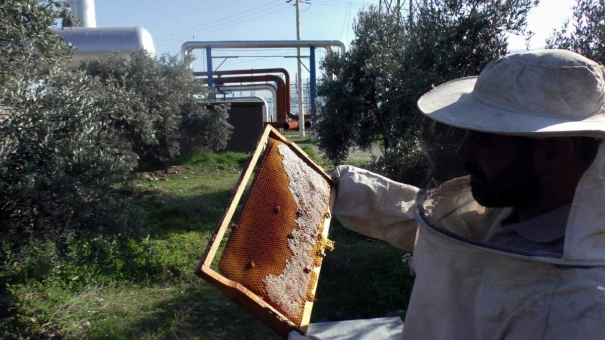 Tabiatın en hassas varlıkları, &ccedil;evre denetiminde kullanılmaya başlandı