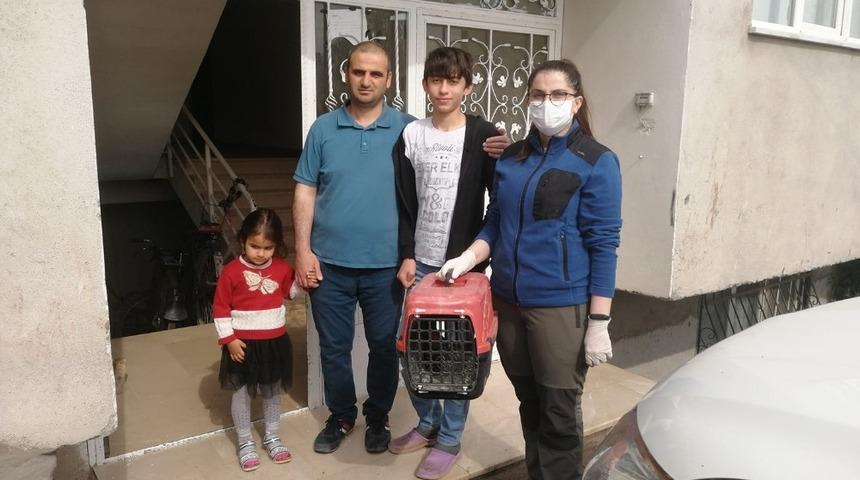 İbibik kuşu tedavi altına alındı