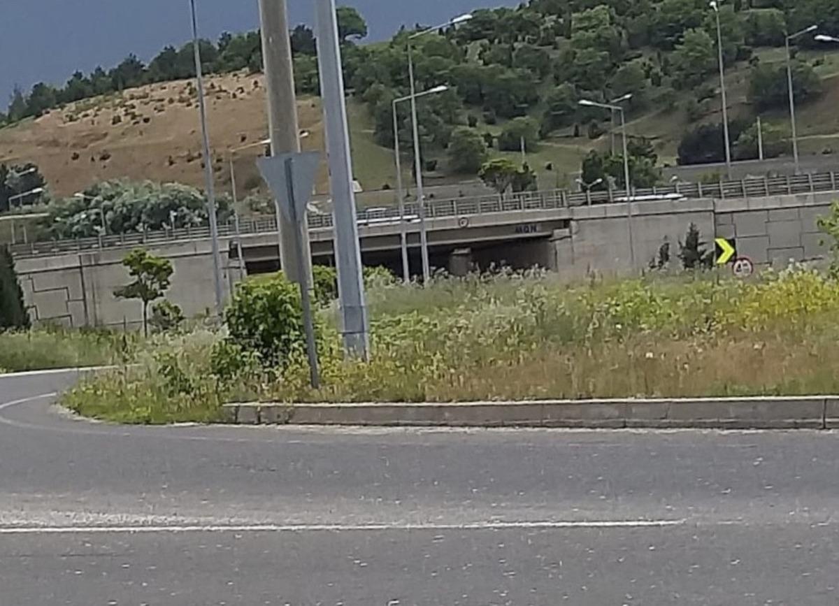 Ref&uuml;jlerde y&uuml;kselen otlar s&uuml;r&uuml;c&uuml;lerin g&ouml;r&uuml;ş a&ccedil;ısını daraltıyor