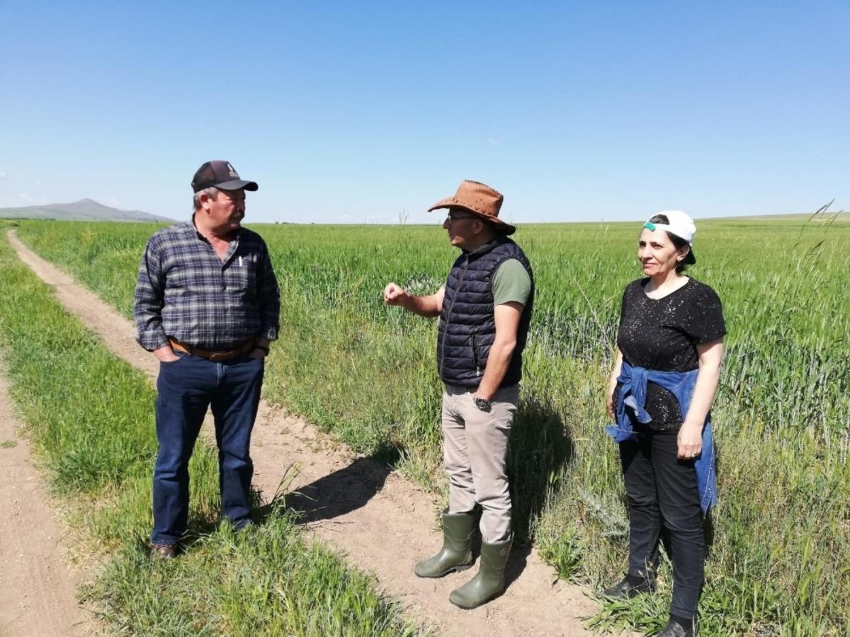 Sorgun s&uuml;ne ile m&uuml;cadele &ccedil;alışması s&uuml;r&uuml;yor