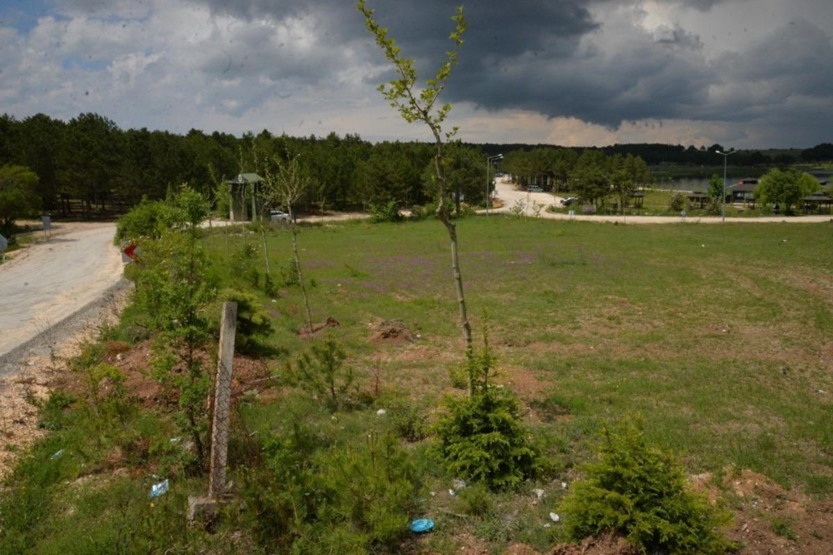 2 bin 500 fidan ve binlerce s&uuml;s bitkisi toprakla buluştu