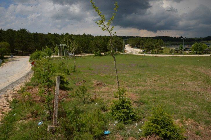 2 bin 500 fidan ve binlerce süs bitkisi toprakla buluştu G1