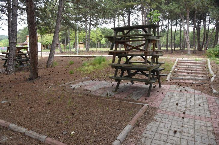 2 bin 500 fidan ve binlerce süs bitkisi toprakla buluştu G4