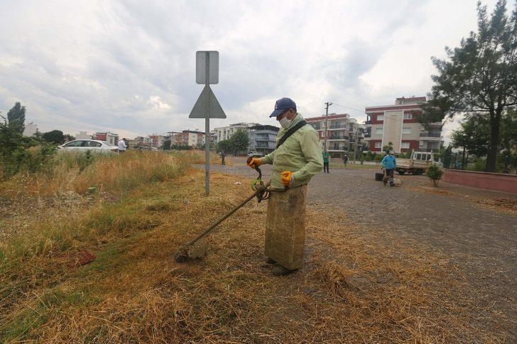 Efeler’de yeşil alanlar bakımdan geçirildi G1