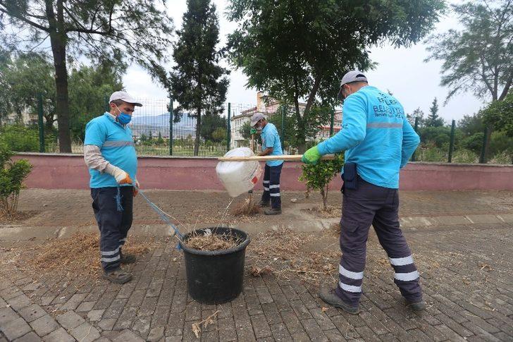 Efeler’de yeşil alanlar bakımdan geçirildi G2