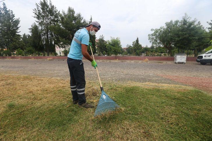 Efeler’de yeşil alanlar bakımdan geçirildi G3