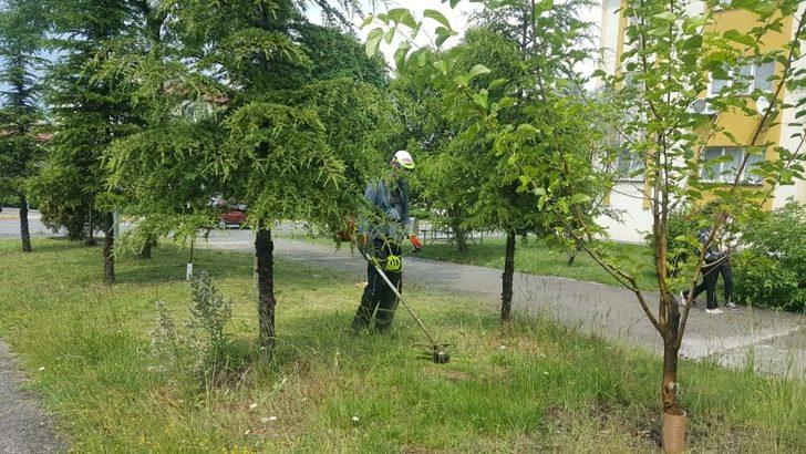 Başiskele’de ot biçme çalışmaları sürüyor G2