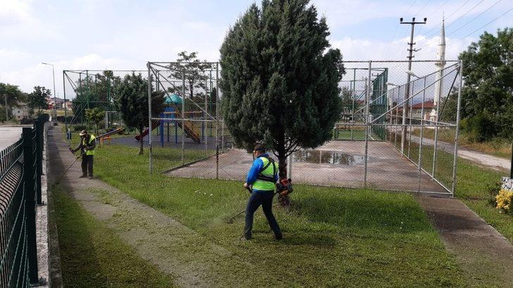 Başiskele’de ot biçme çalışmaları sürüyor G3