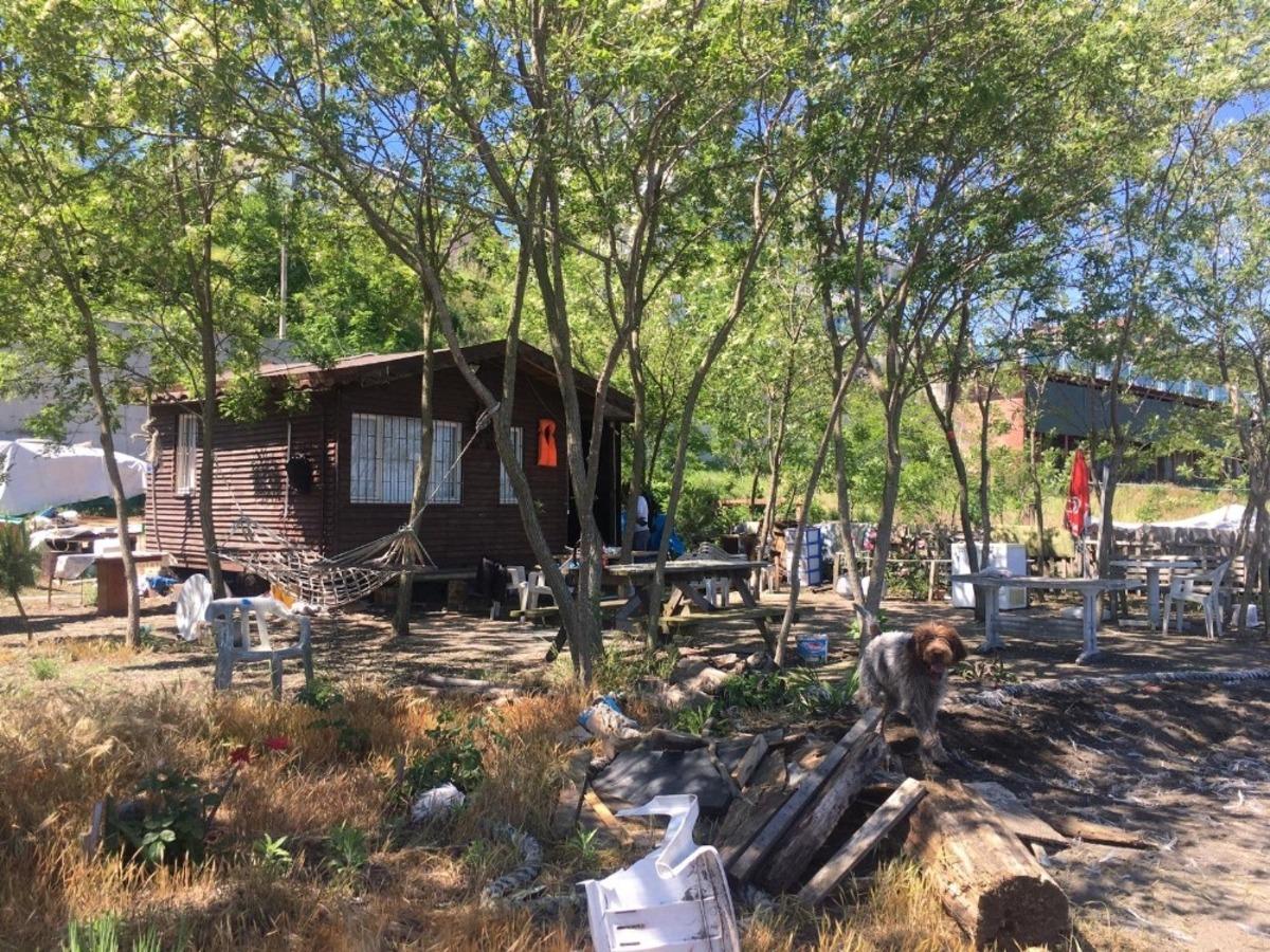 Ordu sahilleri ka&ccedil;ak yapılardan temizleniyor