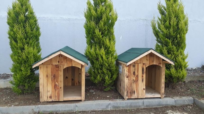 Biga Belediyesi sokak hayvanlarına &ccedil;atı oluyor