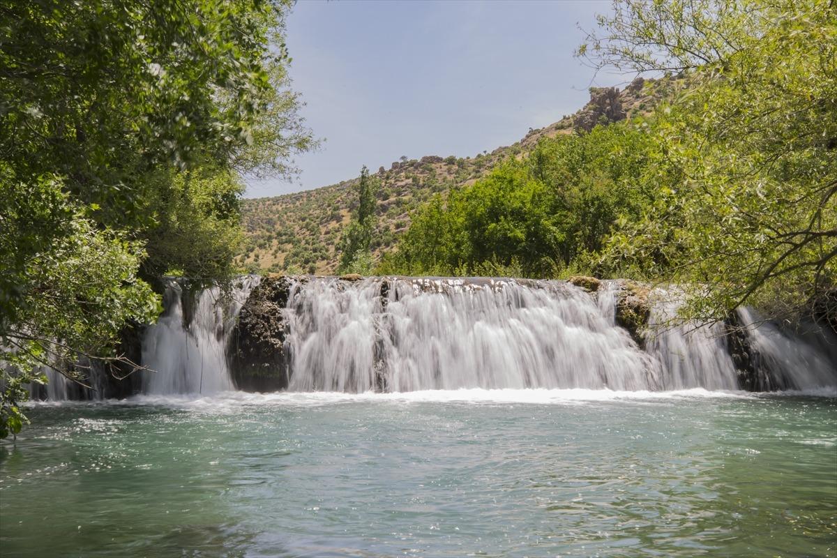 G&ouml;renleri b&uuml;y&uuml;l&uuml;yor! Karasu &Ccedil;ayı ziyaret&ccedil;ilerini bekliyor