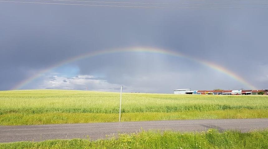 G&ouml;kkuşağı b&uuml;y&uuml;ledi