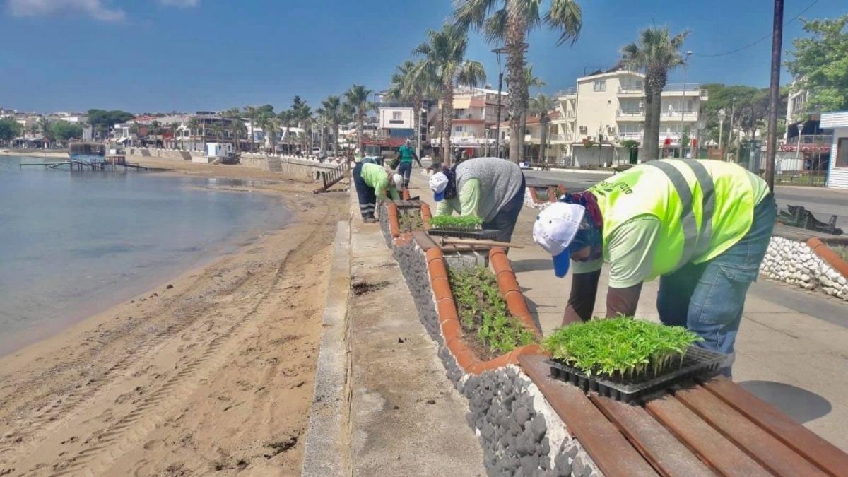 Didim &ccedil;i&ccedil;ek a&ccedil;ıyor